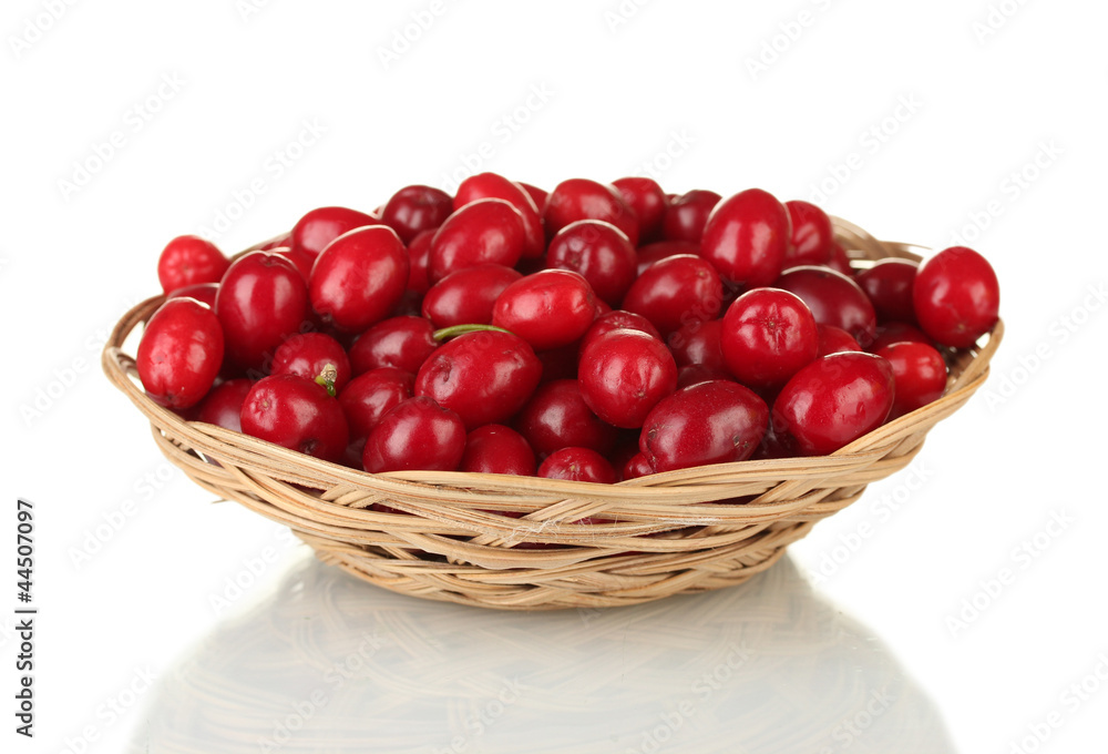 fresh cornel berries in wicker bowl isolated on white fresh cornel berries in wicker bowl isolated on white