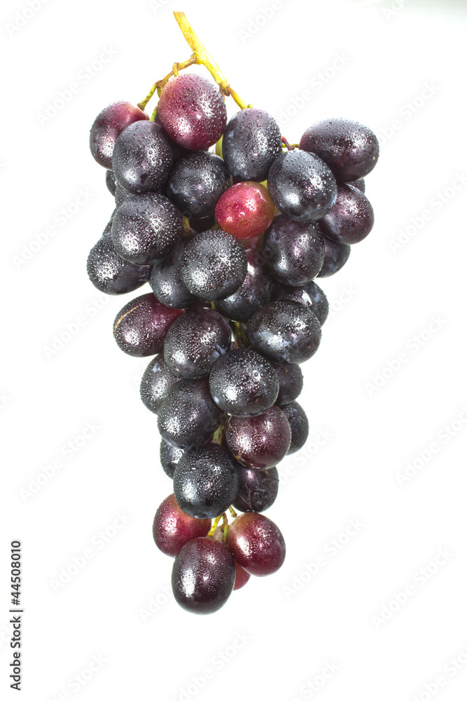 Fototapeta premium juicy grape