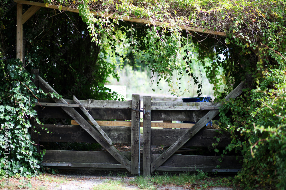 Wooden adventurous garden gate