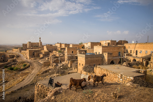 Eastern Turkish village photo