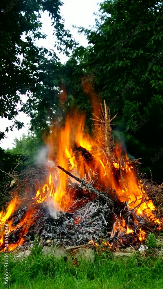 Gartenfeuer vid 01 Gartenfeuer vid 01