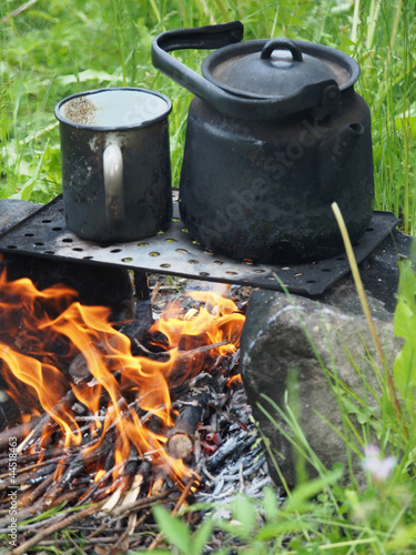 Teapot and kettle on a fire in the summer