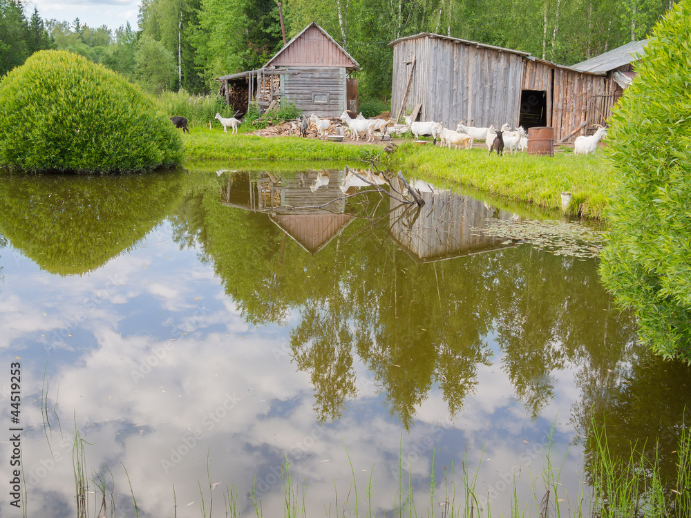 Fototapeta premium Beautiful rural landscape