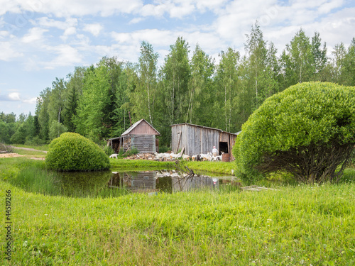 Beautiful rural landscape photo