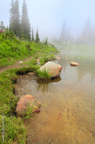 Lake with yellow sand and rocks in the fog