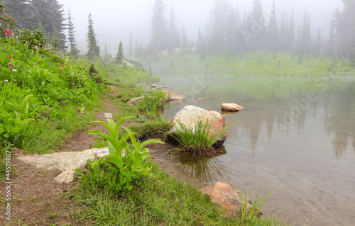 Mountain lake in the fog with rock and flowers.