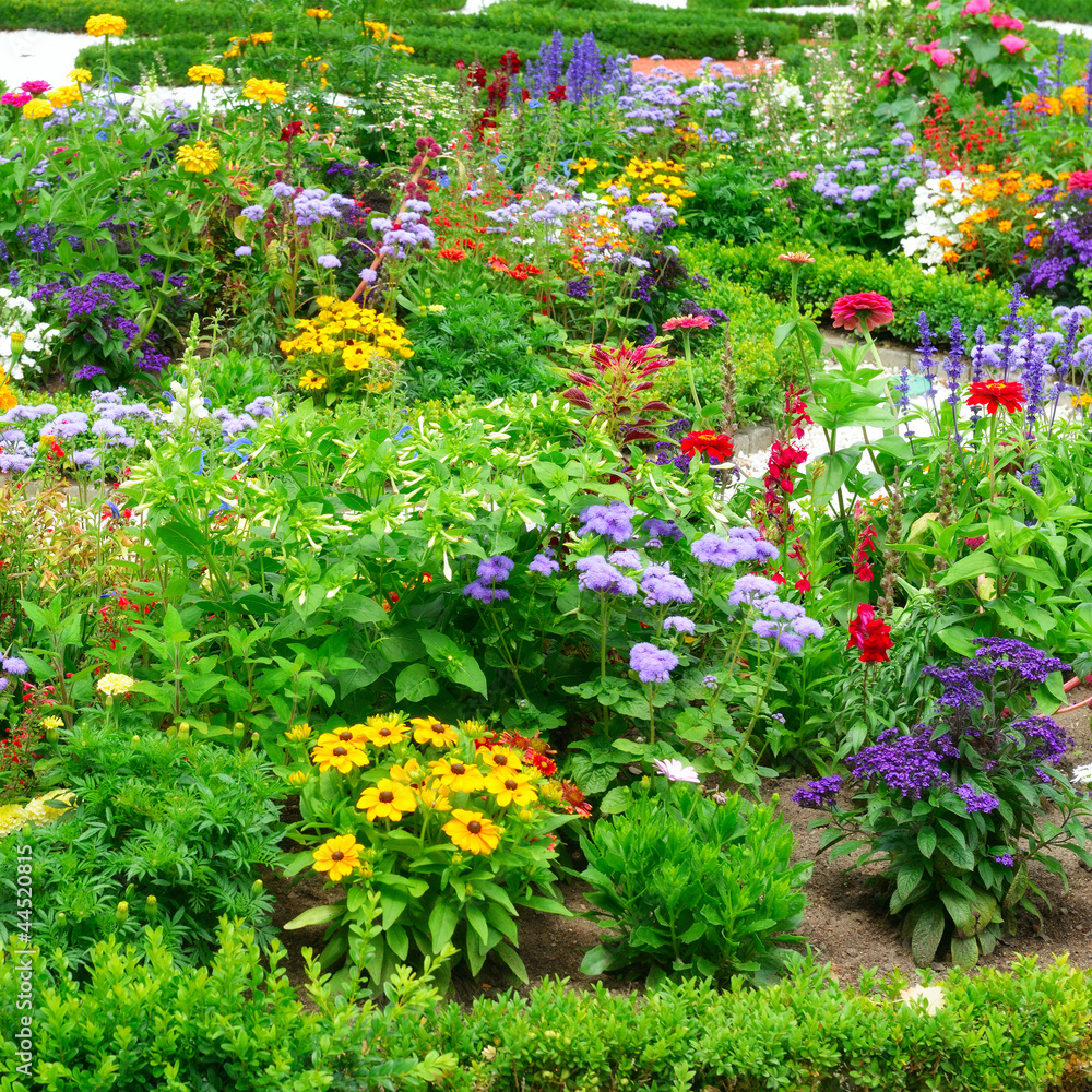 Blossoming flowerbeds in the park Blossoming flowerbeds in the park