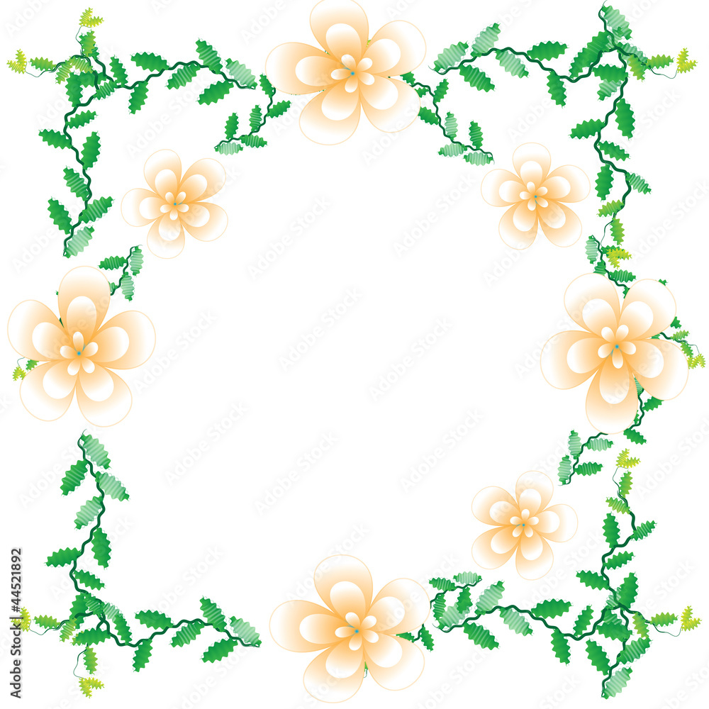 Flower of frame on white background Flower of frame on white background