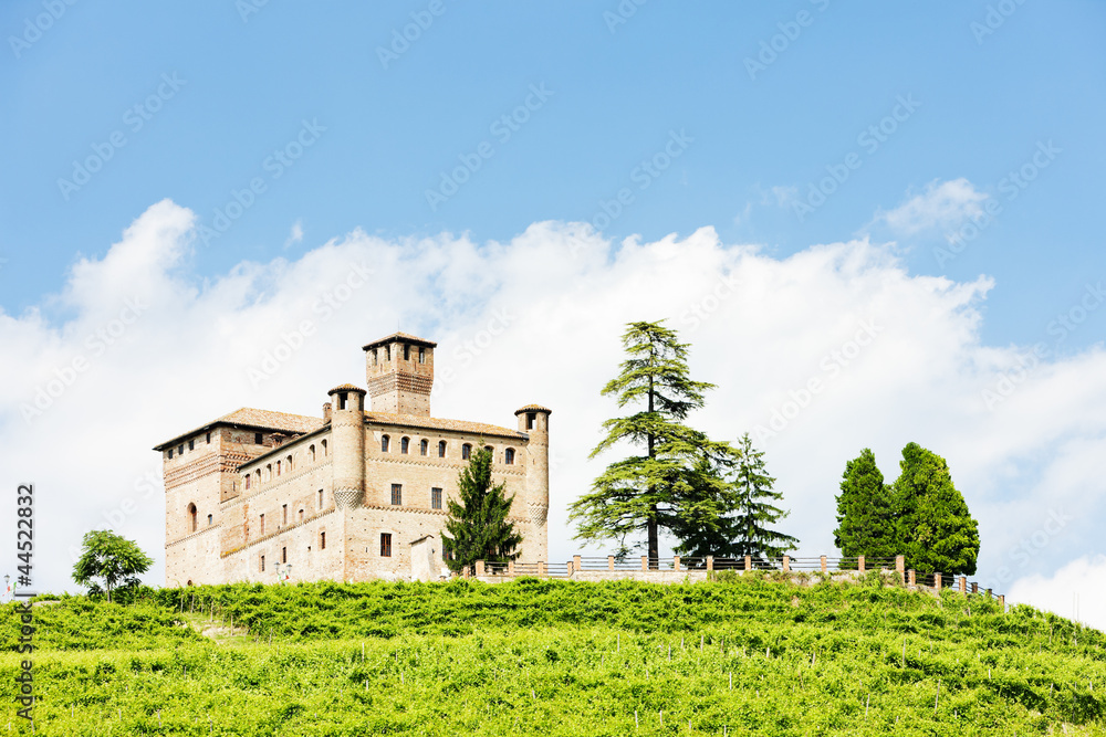 Grinzane Cavour Castle with vineyard, Piedmont, Italy Grinzane Cavour Castle with vineyard, Piedmont, Italy