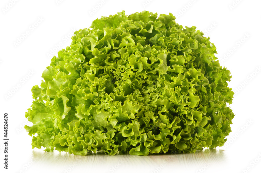 Green leaves lettuce isolated on white background Green leaves lettuce isolated on white background
