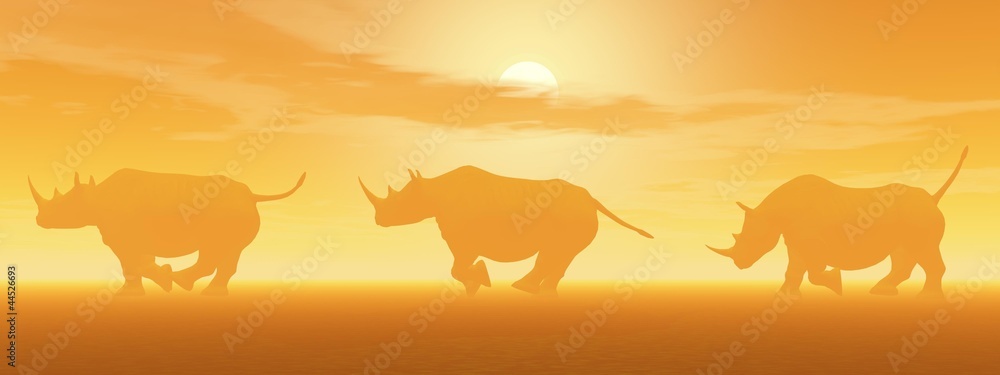 Running rhinoceros