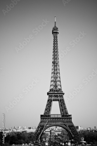 eiffel tower in black and white © matabum