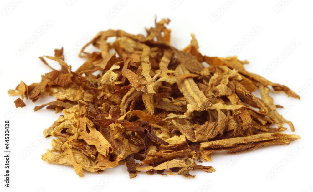 Obraz premium Tobacco for making cigarette