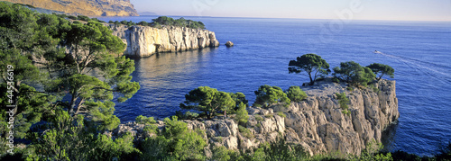 cassis
