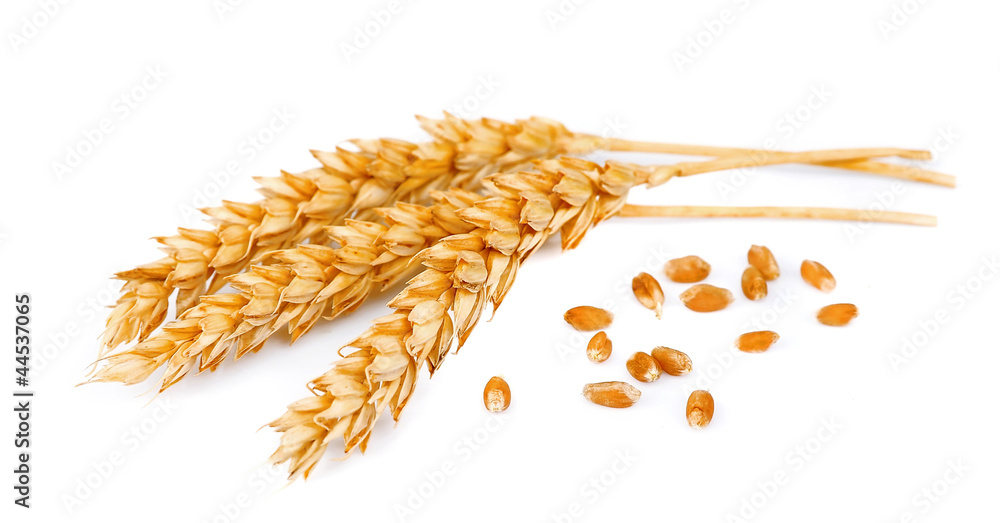 wheat with grains - obrazy, fototapety, plakaty 