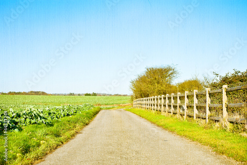 English countryside