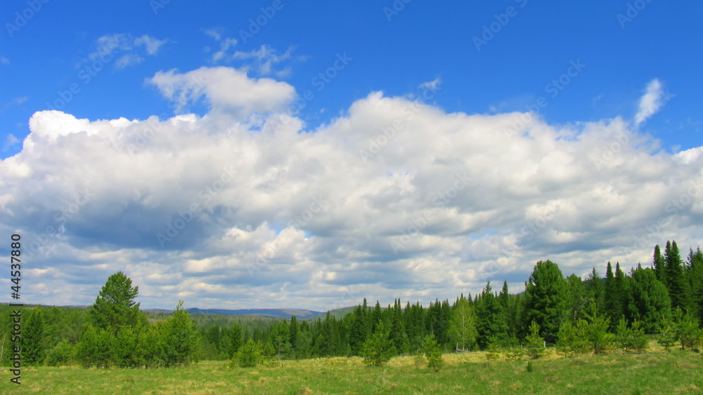 timelapse summer nature scene clouds above forest timelapse summer nature scene clouds above forest