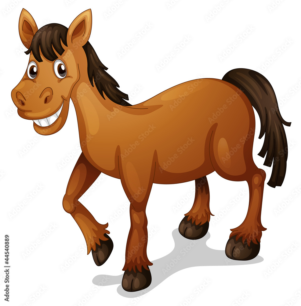 Cartoon Horse Front Stock Illustrations – 1,285 Cartoon Horse