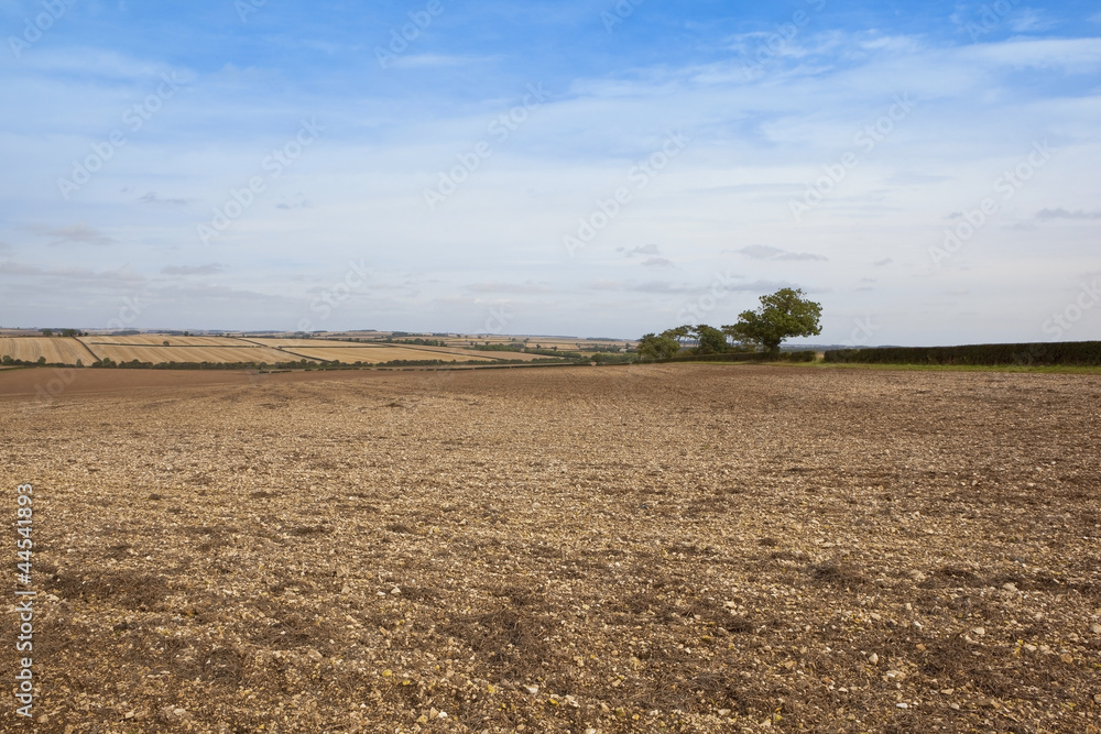 textured fields