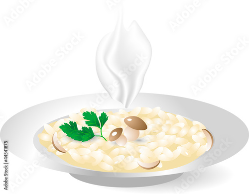 rice with porcini mushrooms
