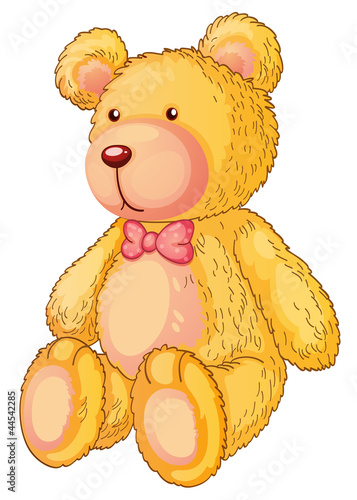 bear
