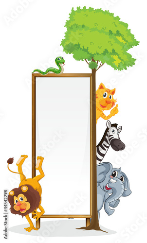 animal frame