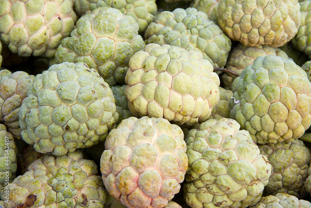 Obraz premium Sugar Apple