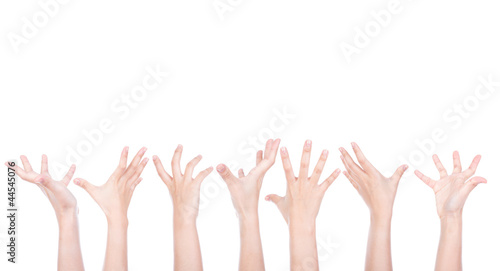Group of Hands reaching for something isolated on white backgrou