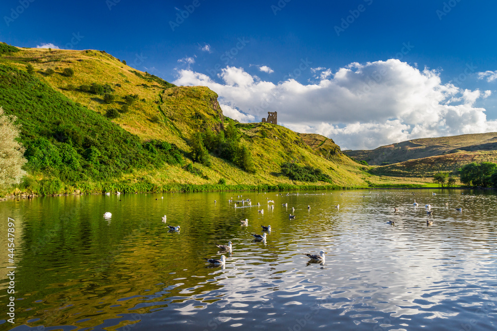 Fototapeta premium View of the mountains reflected in a lake with birds