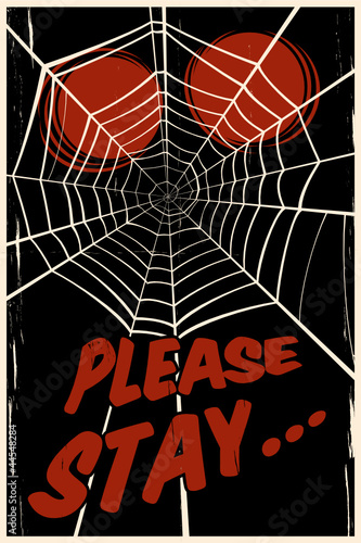 spider cartoon web