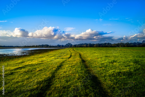 The path ahead