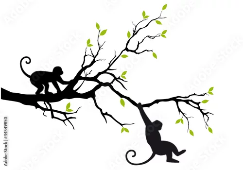 Naklejka na ścianę małpy na drzewie, wektor