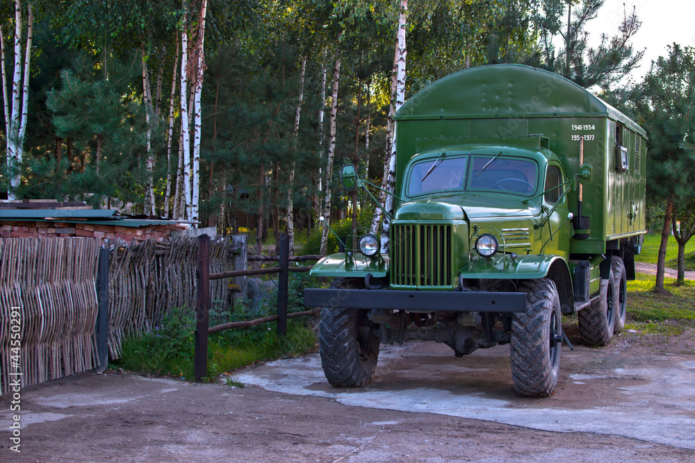 World War II military truck, shiny and as new. Birch forest
