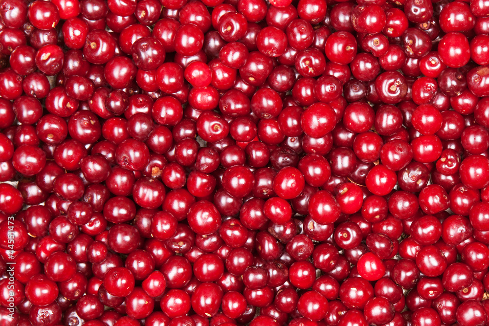 red cherry red cherry