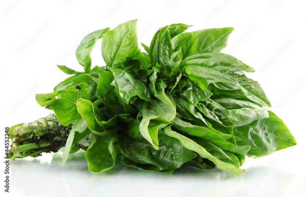Green fresh basil, isolated on white. Green fresh basil, isolated on white.