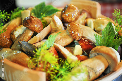 preserved mushrooms