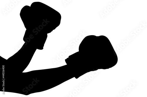 A silhouette of a boxing gloves