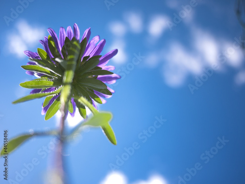 Verso il cielo