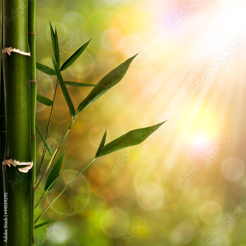 Carta da parati bambù - Carta da parati Abstract oriental backgrounds with bamboo foliage