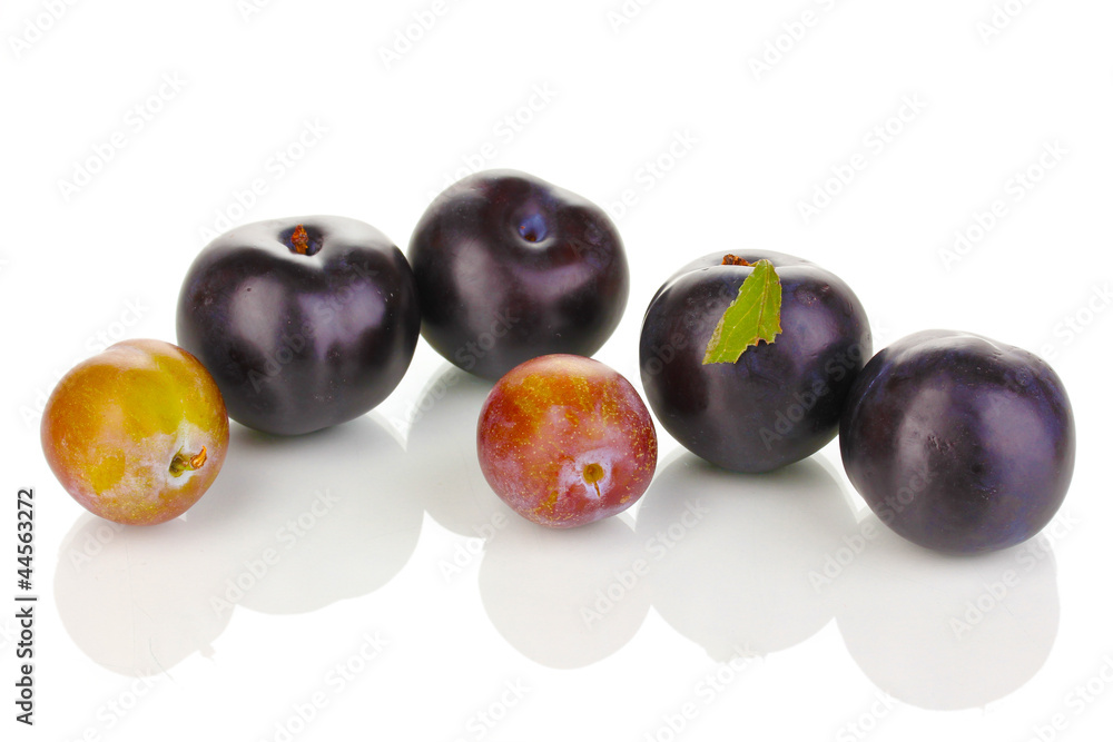 Rip plums isolated on white Rip plums isolated on white