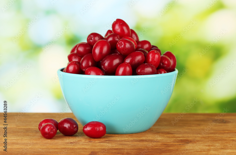 fresh cornel berries in blue bowl on green background close-up fresh cornel berries in blue bowl on green background close-up