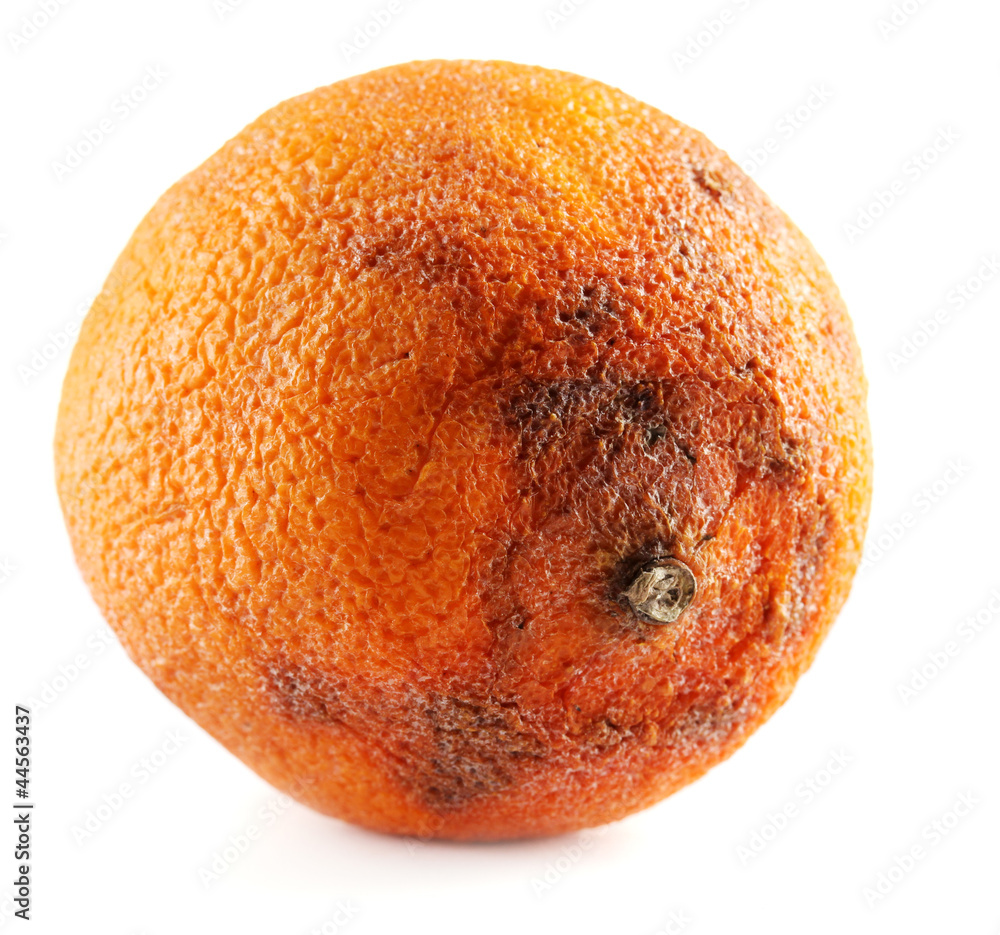 Rotten orange isolated on white Stock Photo Adobe Stock