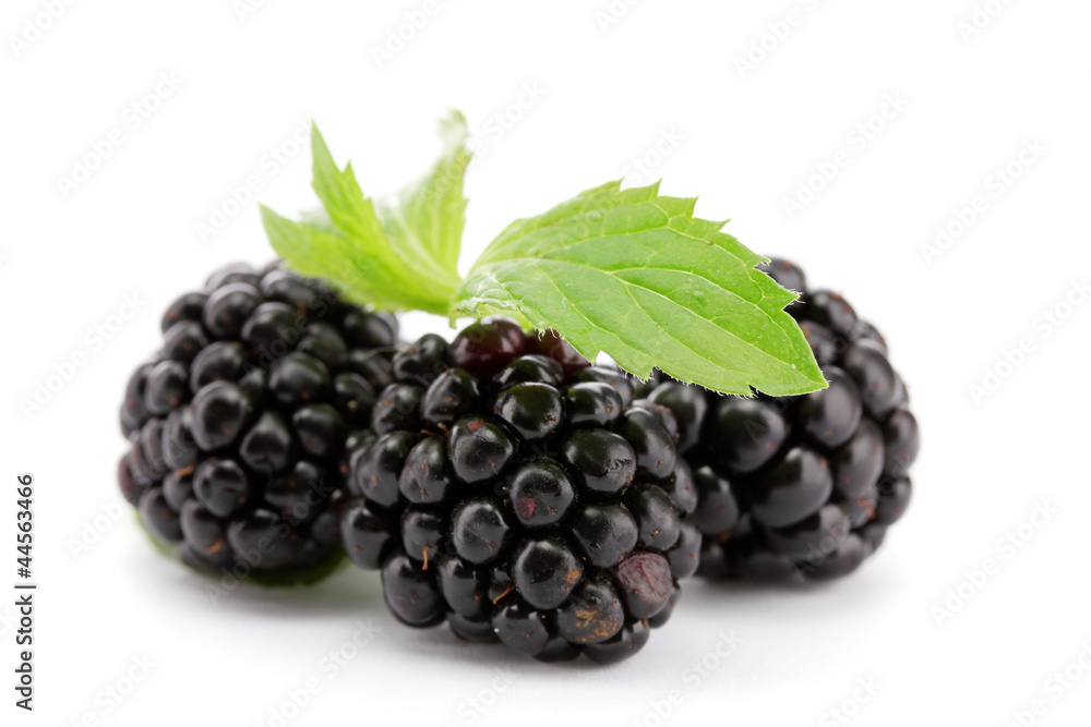 beautiful blackberries with leaf isolated on white beautiful blackberries with leaf isolated on white