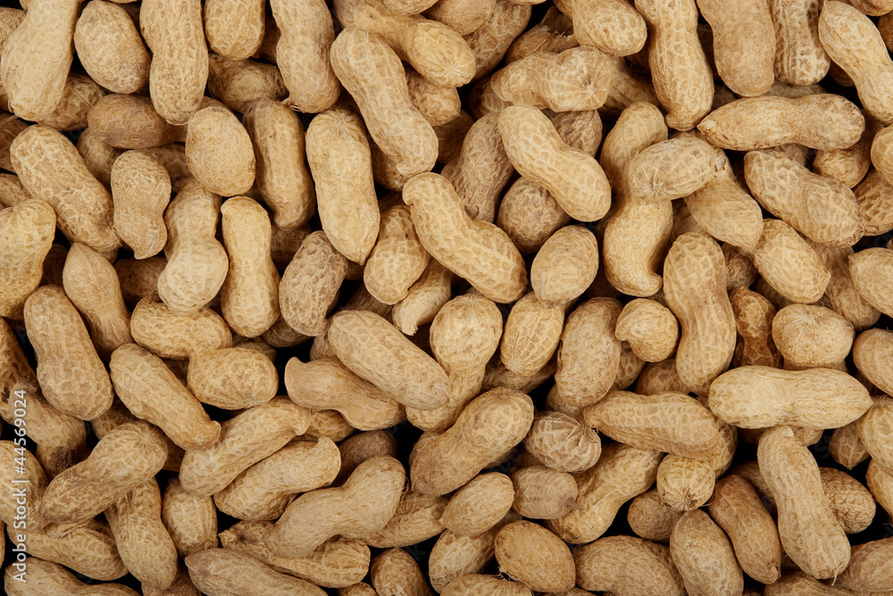 Peanuts background Peanuts background