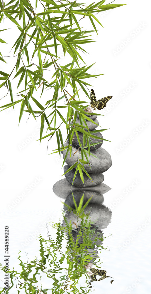 Fototapeta premium concept nature détente, bien-être