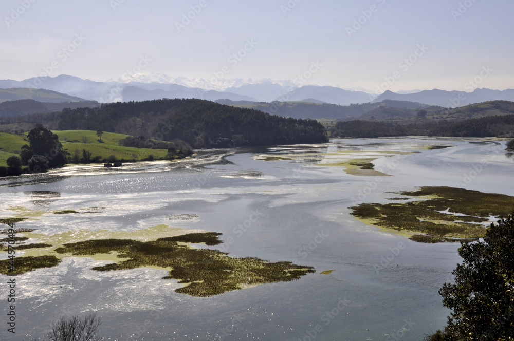 Río en Cantabria
