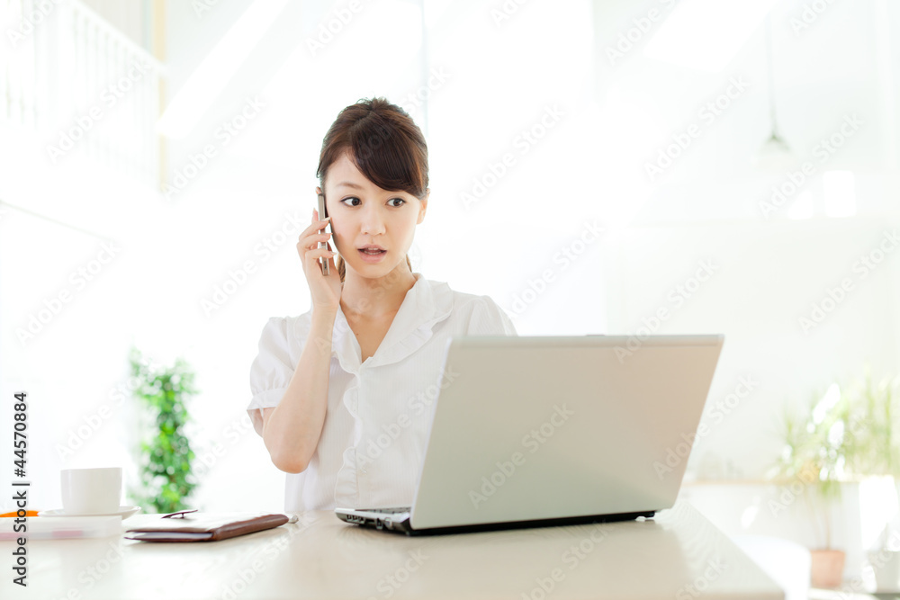Beautiful business woman using a laptop computer. Portrait of as Beautiful business woman using a laptop computer. Portrait of as