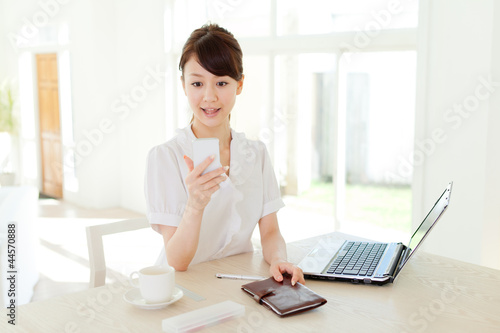 Beautiful business woman using a laptop computer. Portrait of as