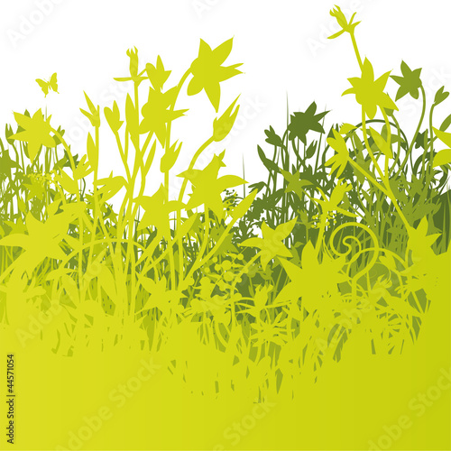 Grashalme und Wiese