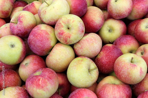 Harvest of crisp colorful early macs